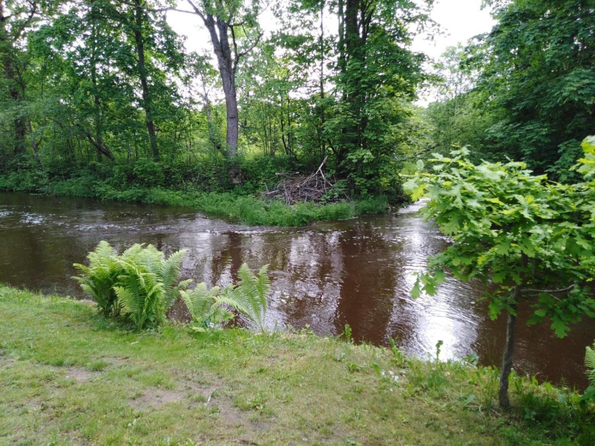 Mustvee Creek Cottage Esterno foto